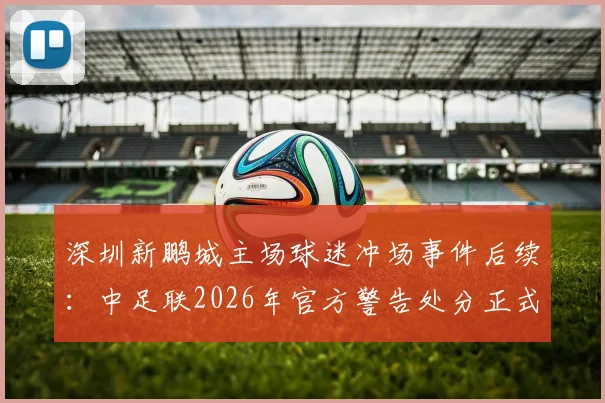 深圳新鹏城主场球迷冲场事件后续：中足联2026年官方警告处分正式公布，赛区秩序管理引热议