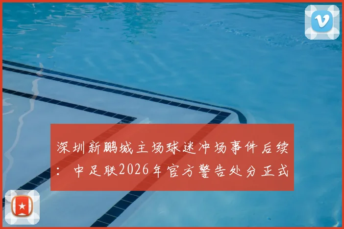 深圳新鹏城主场球迷冲场事件后续:中足联2026年官方警告处分正式公布,赛区秩序管理引热议